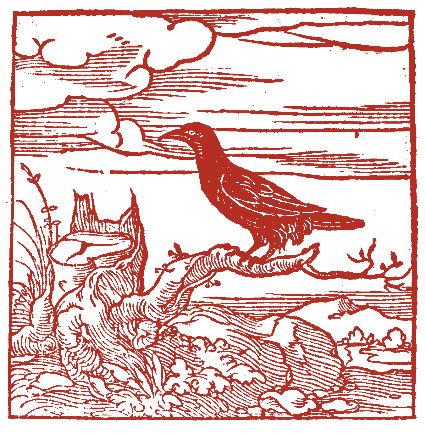 Red woodcut illustration of a crow standing on a branch that is jutting out from a tree stump