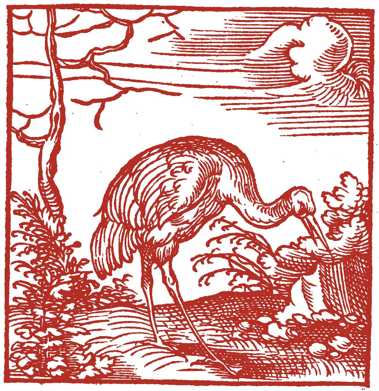 Red woodcut illustration of a crane bending down with beak open